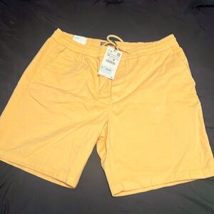 Zara shorts